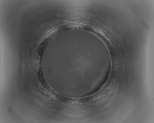 X0000112351399200908131418
