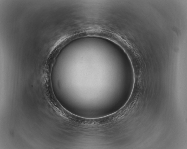 X0000112351400200908131418