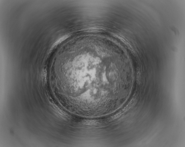 X0000112351402200908131418