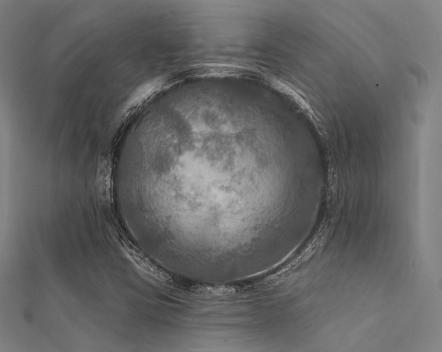 X0000112351403200908131418