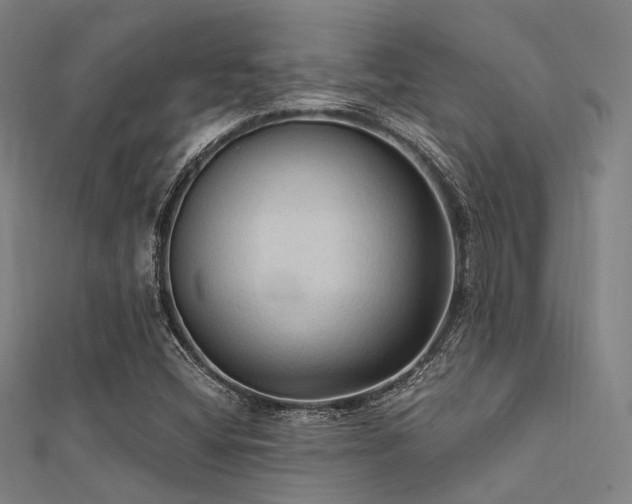 X0000112351404200908131418