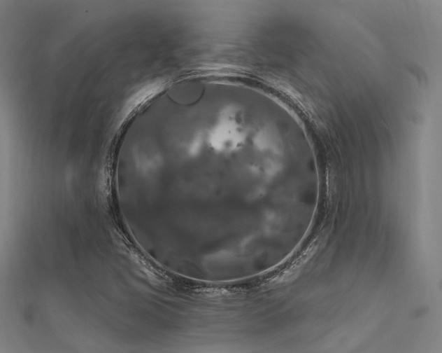 X0000112351405200908131418