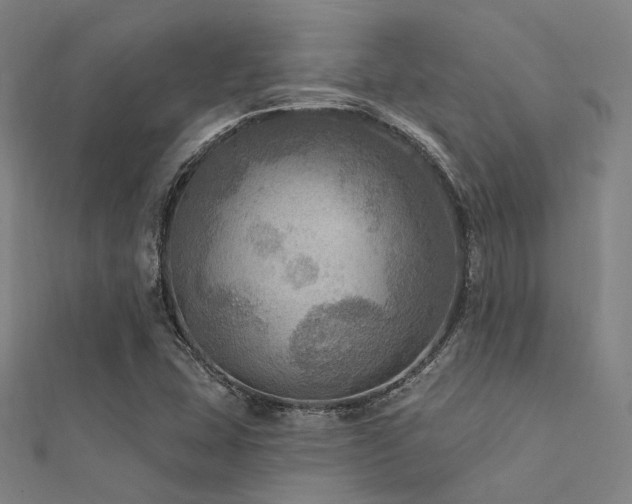 X0000112351407200908131418