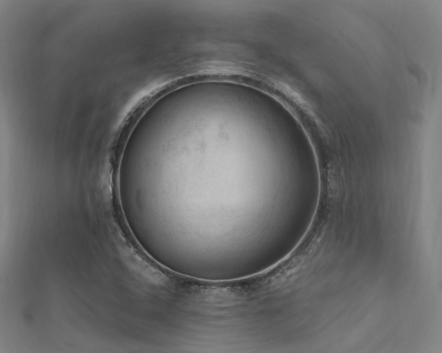 X0000112351408200908131418