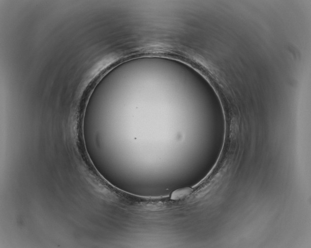 X0000112351410200908131418
