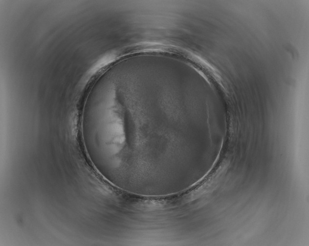 X0000112351411200908131418