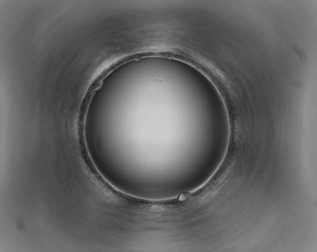 X0000112351412200908131418