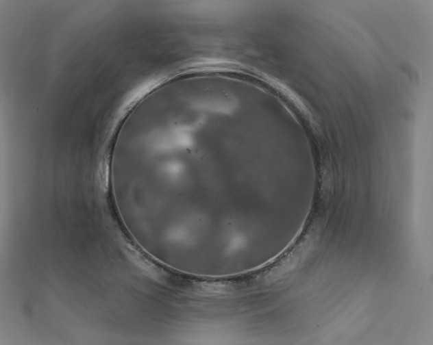 X0000112351413200908131418