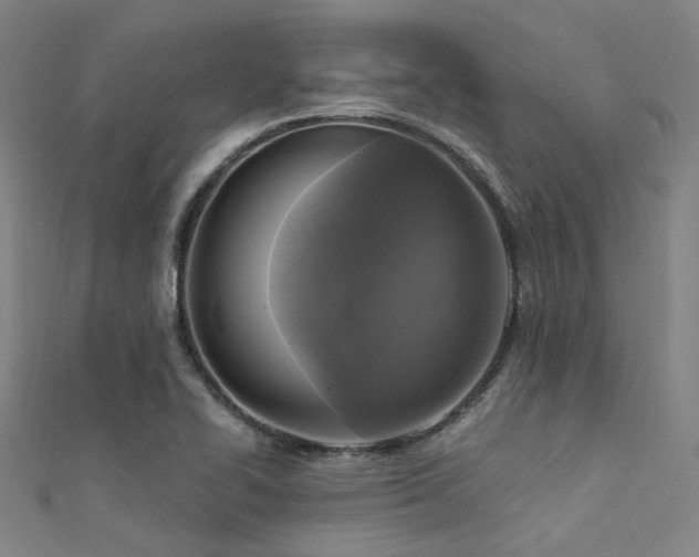 X0000112351414200908131418