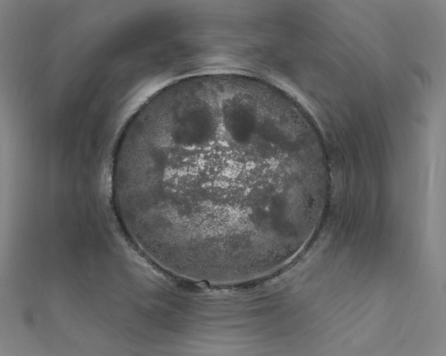 X0000112351415200908131418