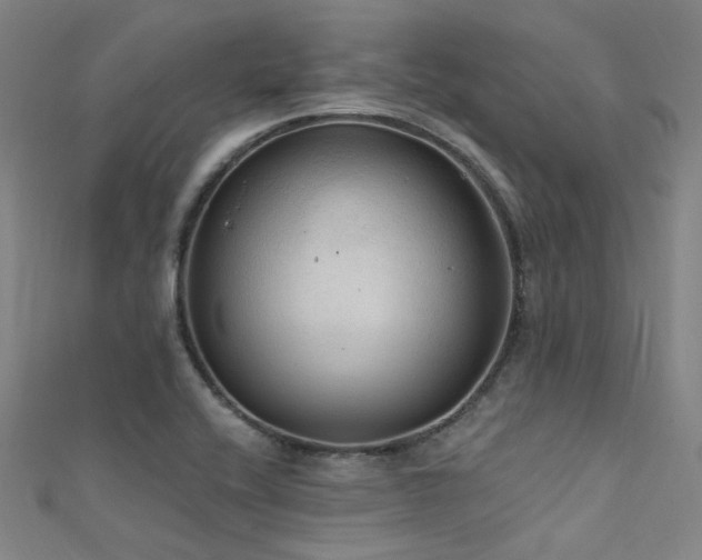 X0000112351416200908131418