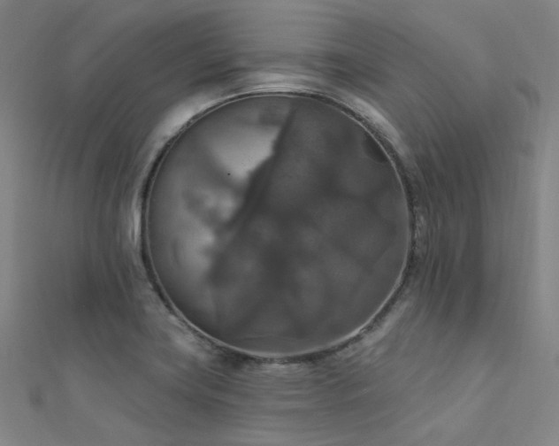 X0000112351419200908131418