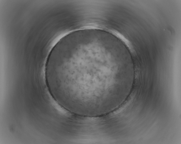 X0000112351423200908131418