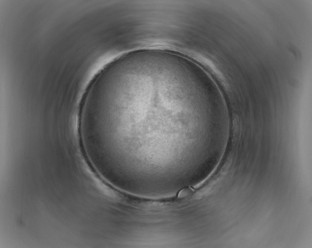 X0000112351424200908131418