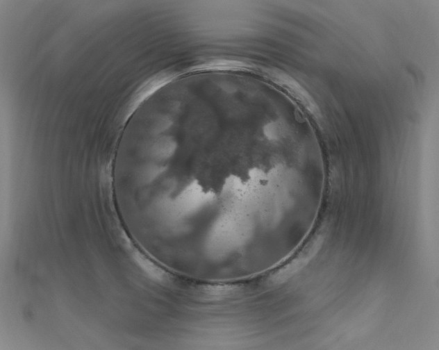 X0000112351425200908131419