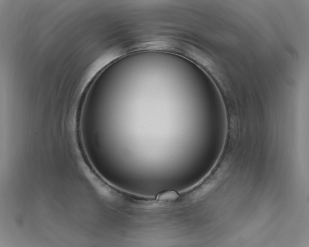X0000112351426200908131419