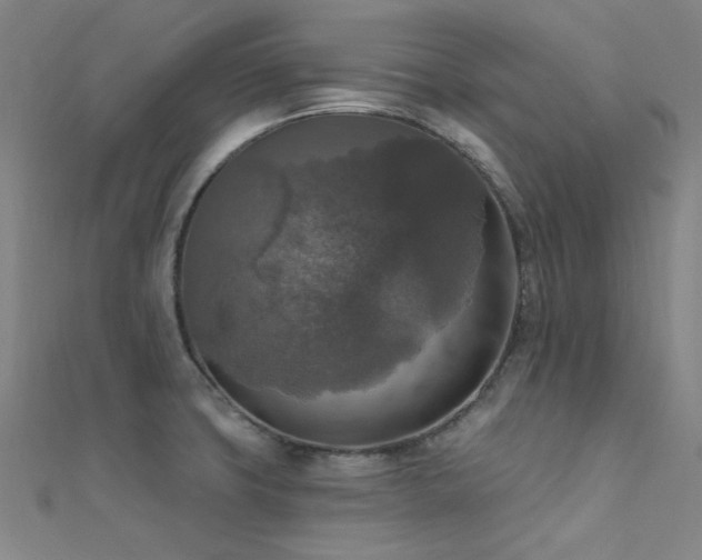 X0000112351427200908131419
