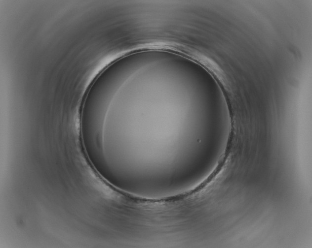 X0000112351428200908131419