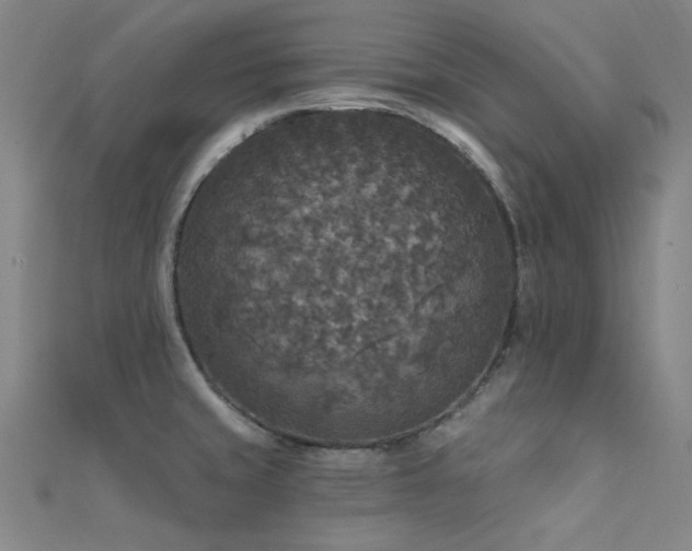 X0000112351429200908131419
