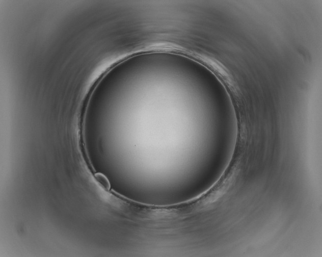 X0000112351430200908131419