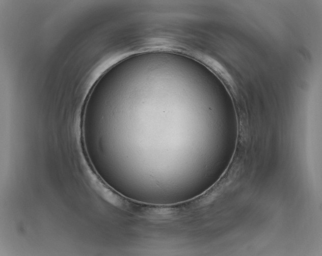 X0000112351431200908131419