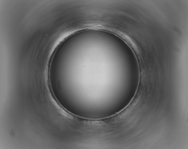 X0000112351432200908131419