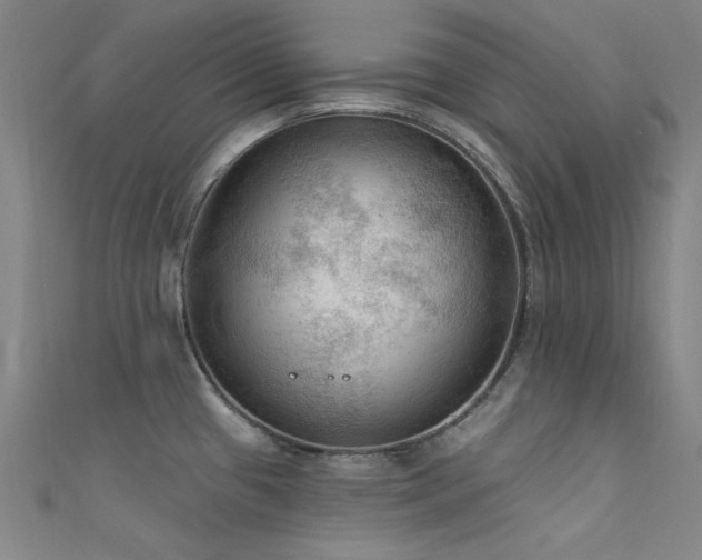 X0000112351433200908131419