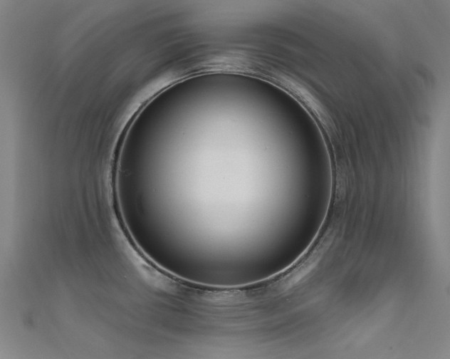 X0000112351434200908131419