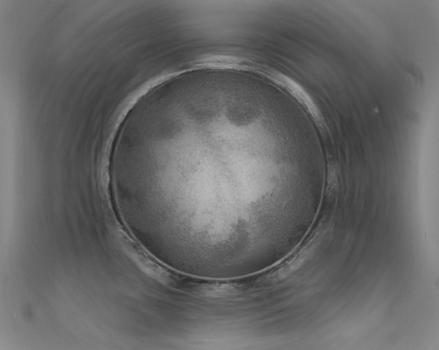 X0000112351435200908131419