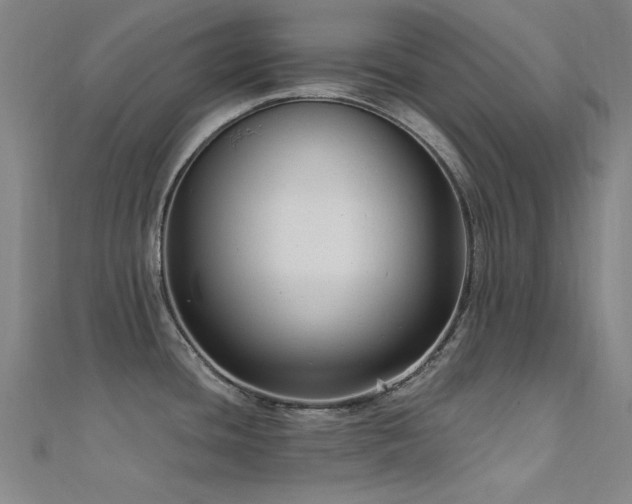 X0000112351436200908131419