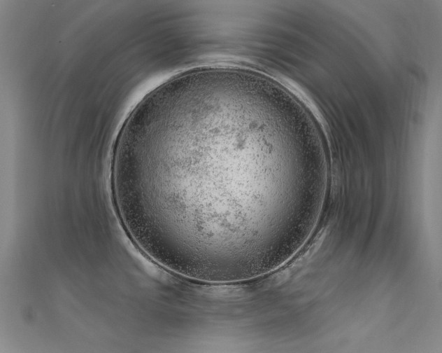X0000112351437200908131419