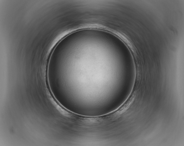 X0000112351438200908131419