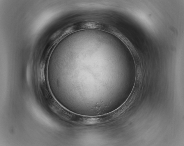 X0000112351439200908131419