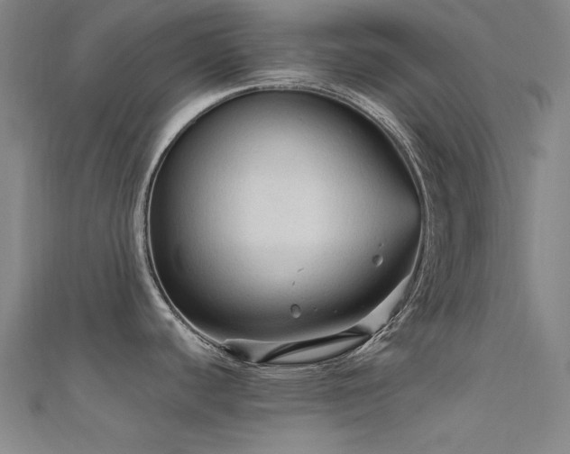 X0000112351440200908131419