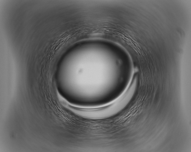 X0000112351441200908131418