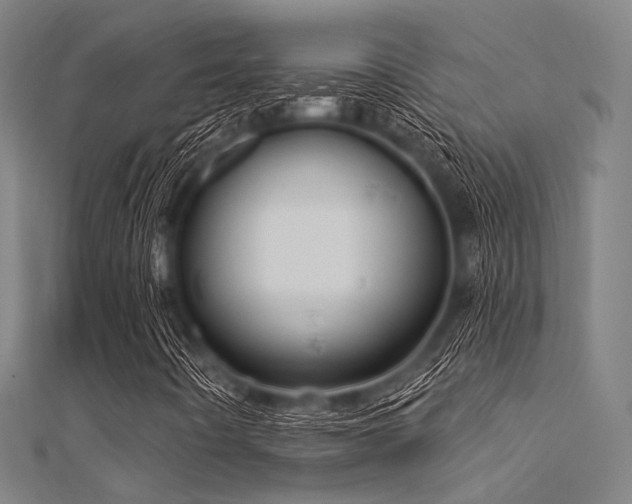 X0000112351442200908131418