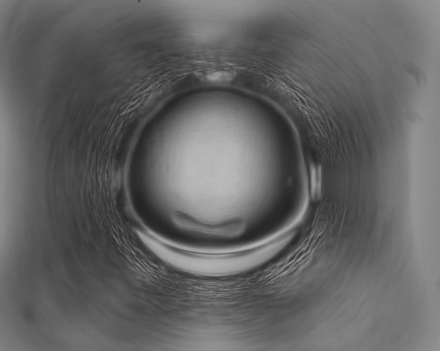 X0000112351443200908131418