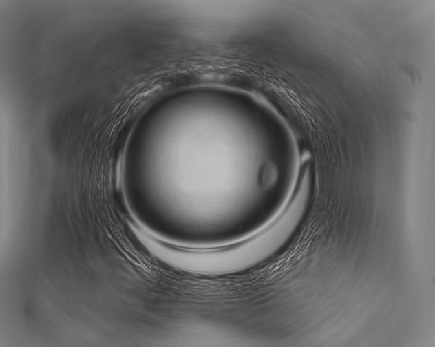 X0000112351444200908131418