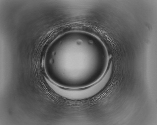 X0000112351445200908131418