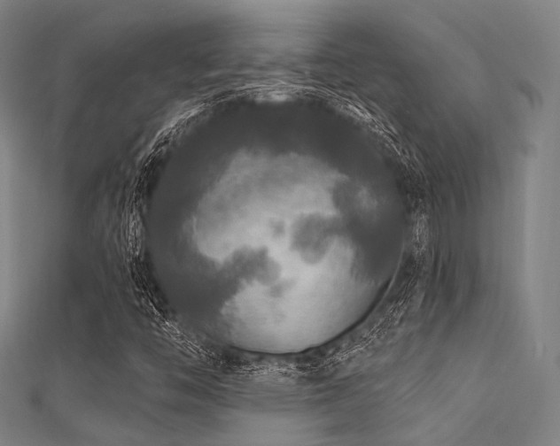 X0000112351446200908131418