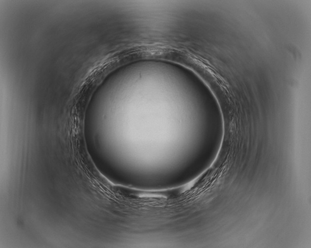 X0000112351447200908131418