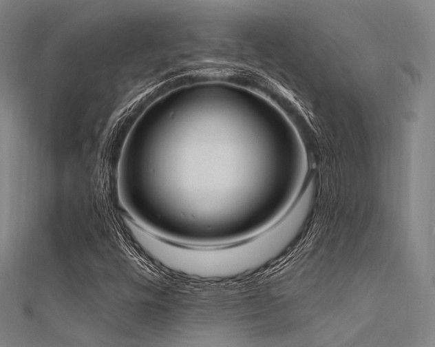 X0000112351448200908131418