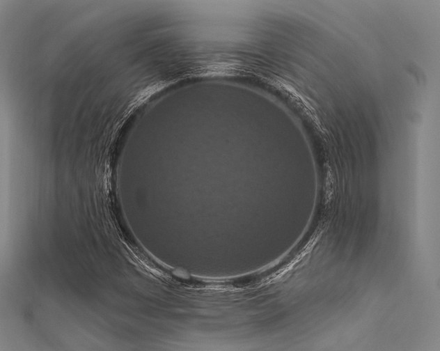 X0000112351449200908131418