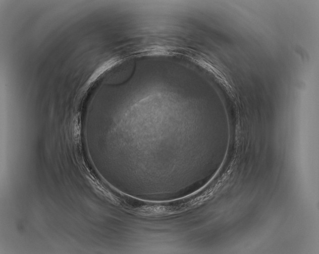 X0000112351450200908131418