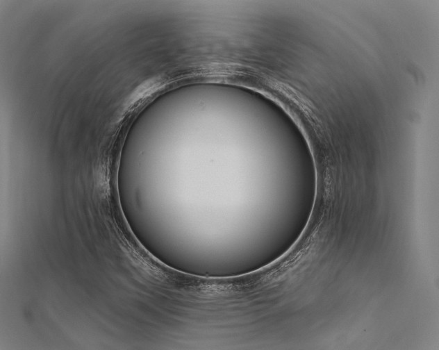 X0000112351451200908131418