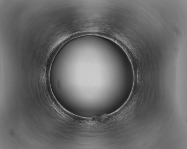 X0000112351452200908131418