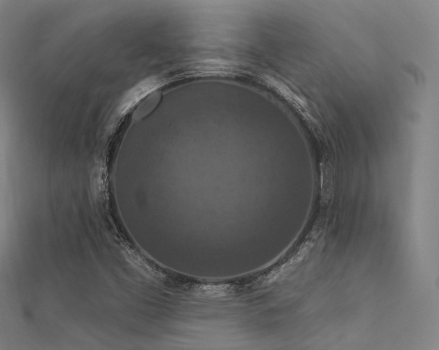 X0000112351453200908131418