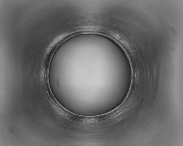 X0000112351454200908131418