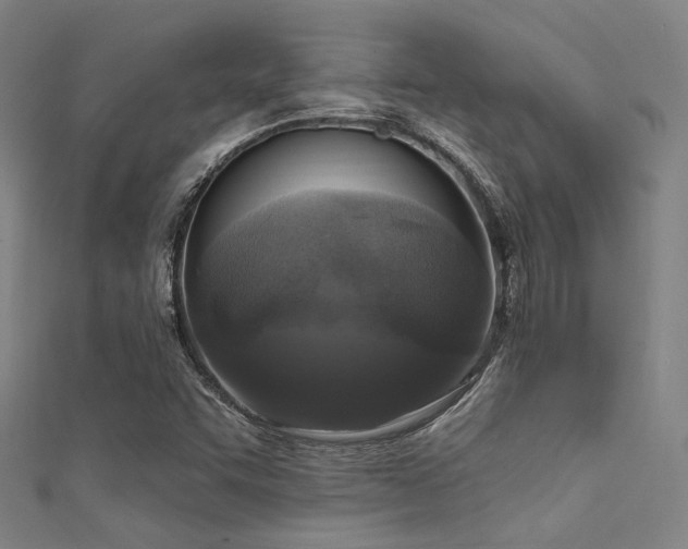 X0000112351455200908131418
