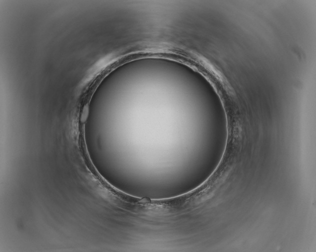 X0000112351456200908131418